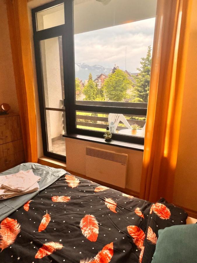 Cosy Studios With Mountain View Near Bansko Разлог Екстериор снимка